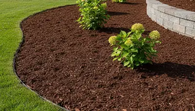 Fresh mulch installation with clean landscape edges by Chop Chop Landscaping in Bellevue, NE